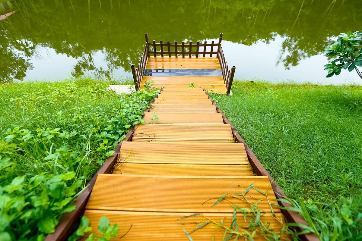 Lakeside Serenity